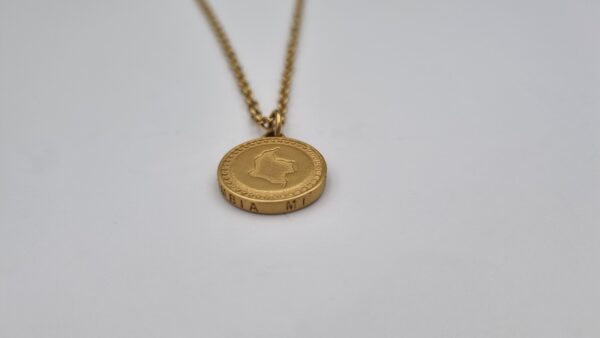 Robuuste Gouden Colombiaanse munt ketting - Afbeelding 3