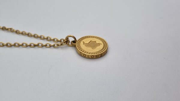 Robuuste Gouden Colombiaanse munt ketting